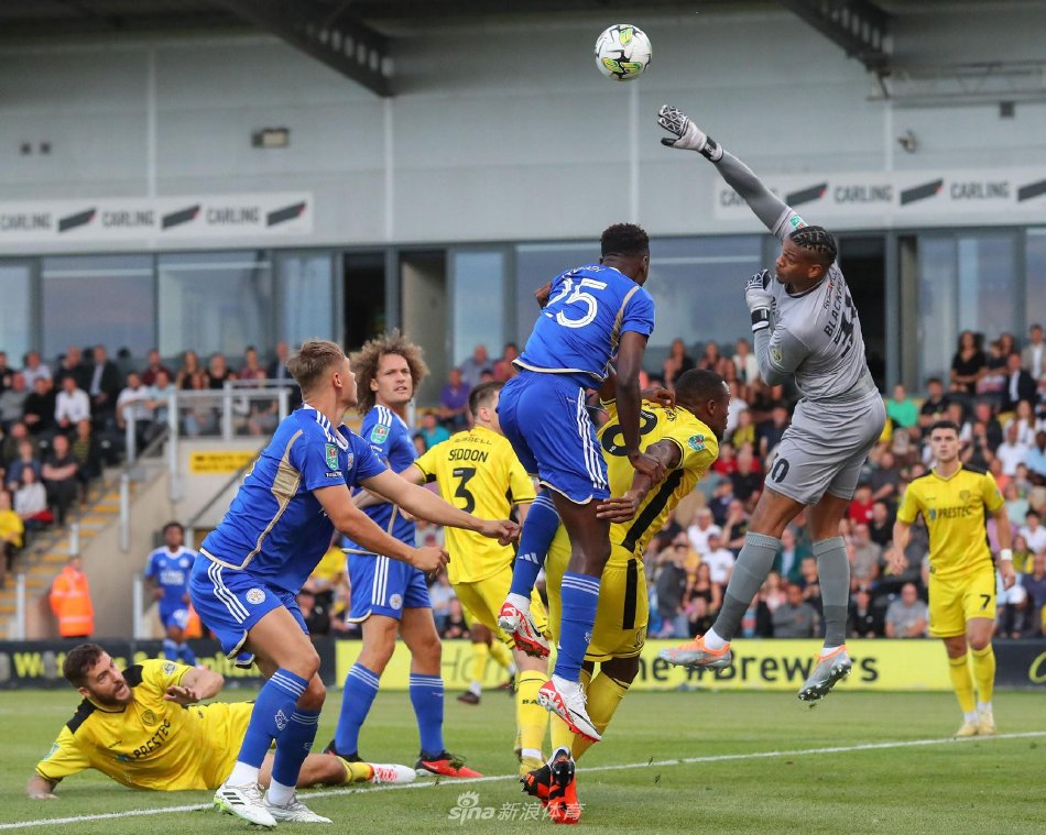 不仅吸引了 不仅吸引了